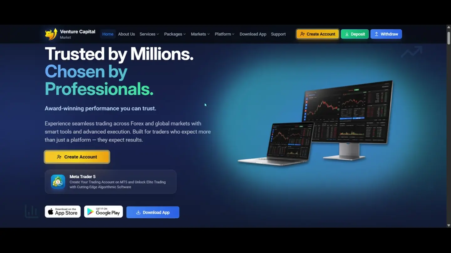 Venture Capital Market website preview